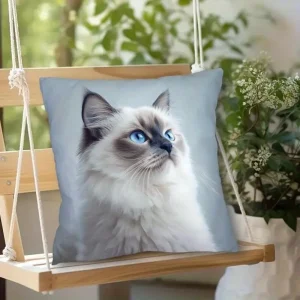 Vibrant Bohemian Style Short Plush Pillow Cover 45x45cm Charming Kitten Living Room Bedroom Decor