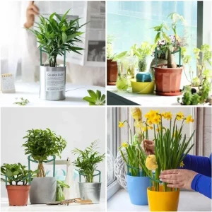 2/6Pcs Plant Support Pile Stand Semicircle Frame Fixed Rod Holder Gardening Arrangement Flower Vine Climbing Bracket Bonsai Tool