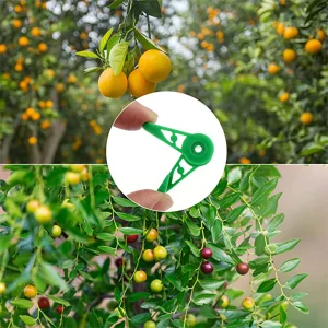 Plant Branches Bender Training Clips Garden Stem Trainer Clips 270 Degree Adjustable Planter Holder For Low Stress Training Tool