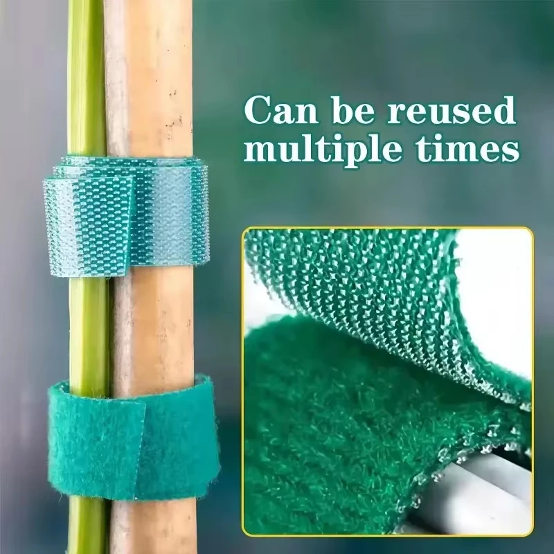 Nylon Plant Support Tape Self Adhesive Plant Fixing Cable Tie For Garden Reusable Plants Hook Loop Horticulture Straps Supplies - الصورة 3