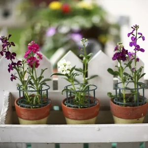 4/1Pcs Can Spliced Plant Support Pile 2Size Single Layer Orchid Rack Multi Meat Sun Flower Support Leaf Rack Garden Accessories