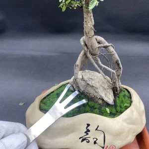 Stainless Steel Root Rake 3-Prong Loosen Soil Tool Handheld Bonsai Potted Plants Rustproof Rake Home Gardening Tool