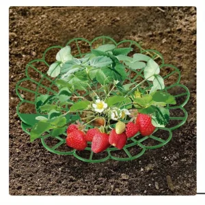 5/10pcs Strawberry Plant Supports with Three Sturdy Legs Provide Protection for Strawberries Against Mold, Rot, and Dirt