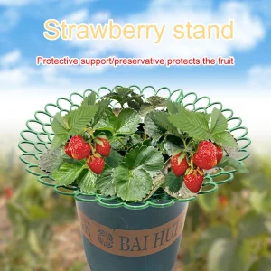 5PCS Strawberry Supports 3 Sturdy Support Feet Keeping Plant Fruit Stand Vegetable Growing Rack Garden Tool