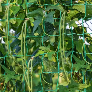36 Strands of 10x10cm Cell Plant Climbing Net Garden plant Shelves Net Vegetable Flower Net Garden Weaving Grow Frame